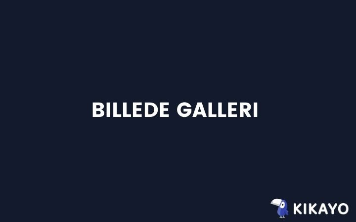Billedegalleri Billedegalleri